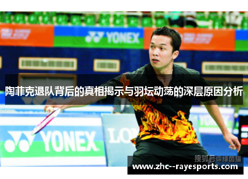 陶菲克退队背后的真相揭示与羽坛动荡的深层原因分析